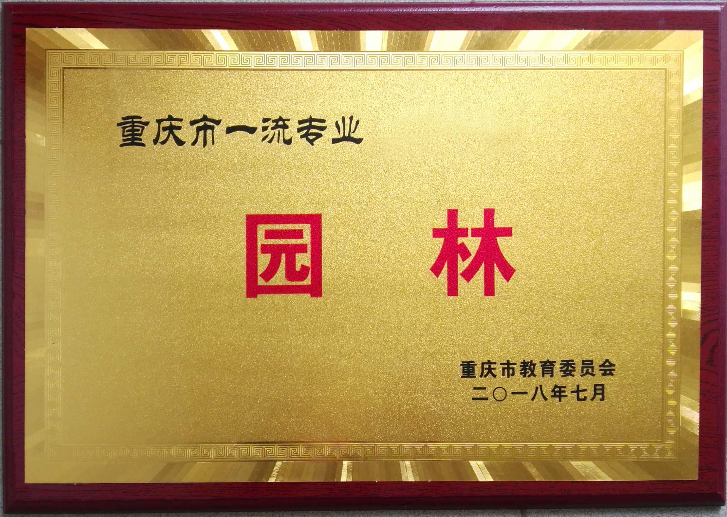 4-重庆市一流专业.jpg