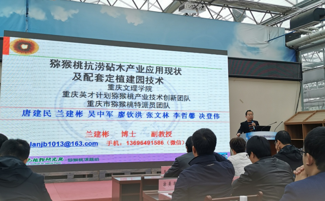1606370615704008904.png 图片3.png