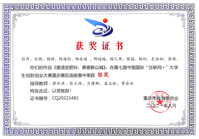 互联网+获奖证书.png
