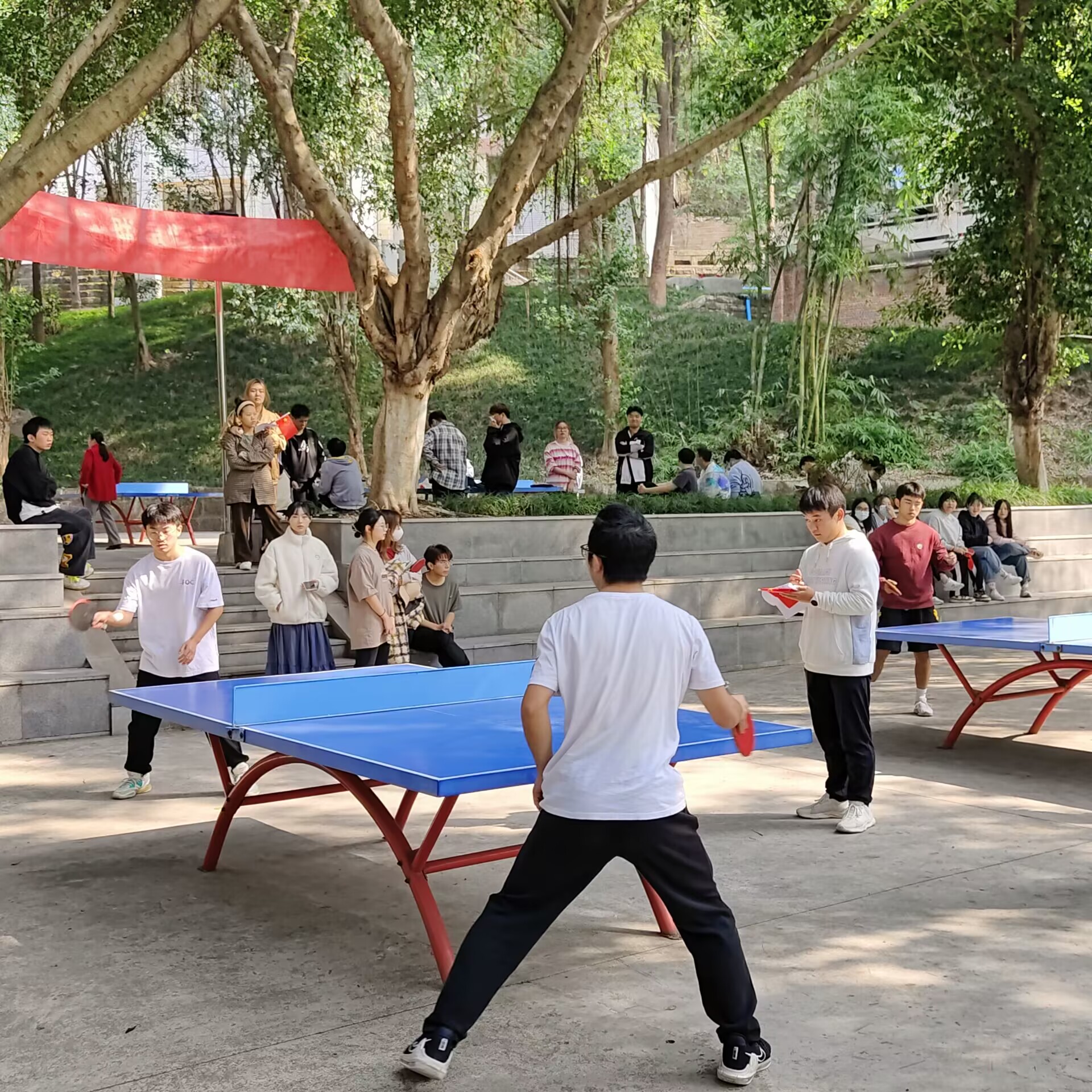 bIiz_1669116685922057973.jpg 图片2.2.jpg
