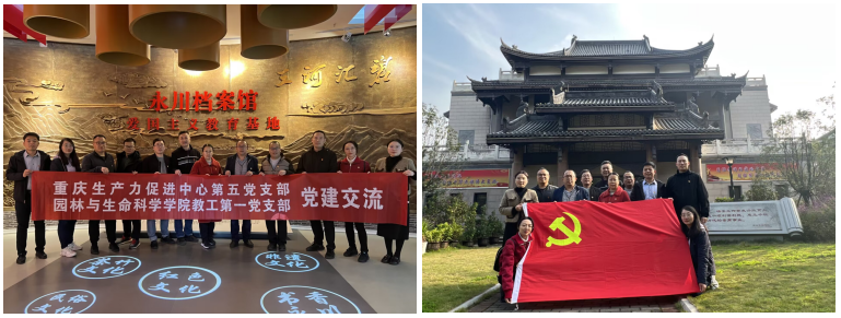 QQ截图20231209203610.png
