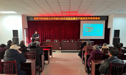 NJdX_1709258097652086073.png 图片2.png