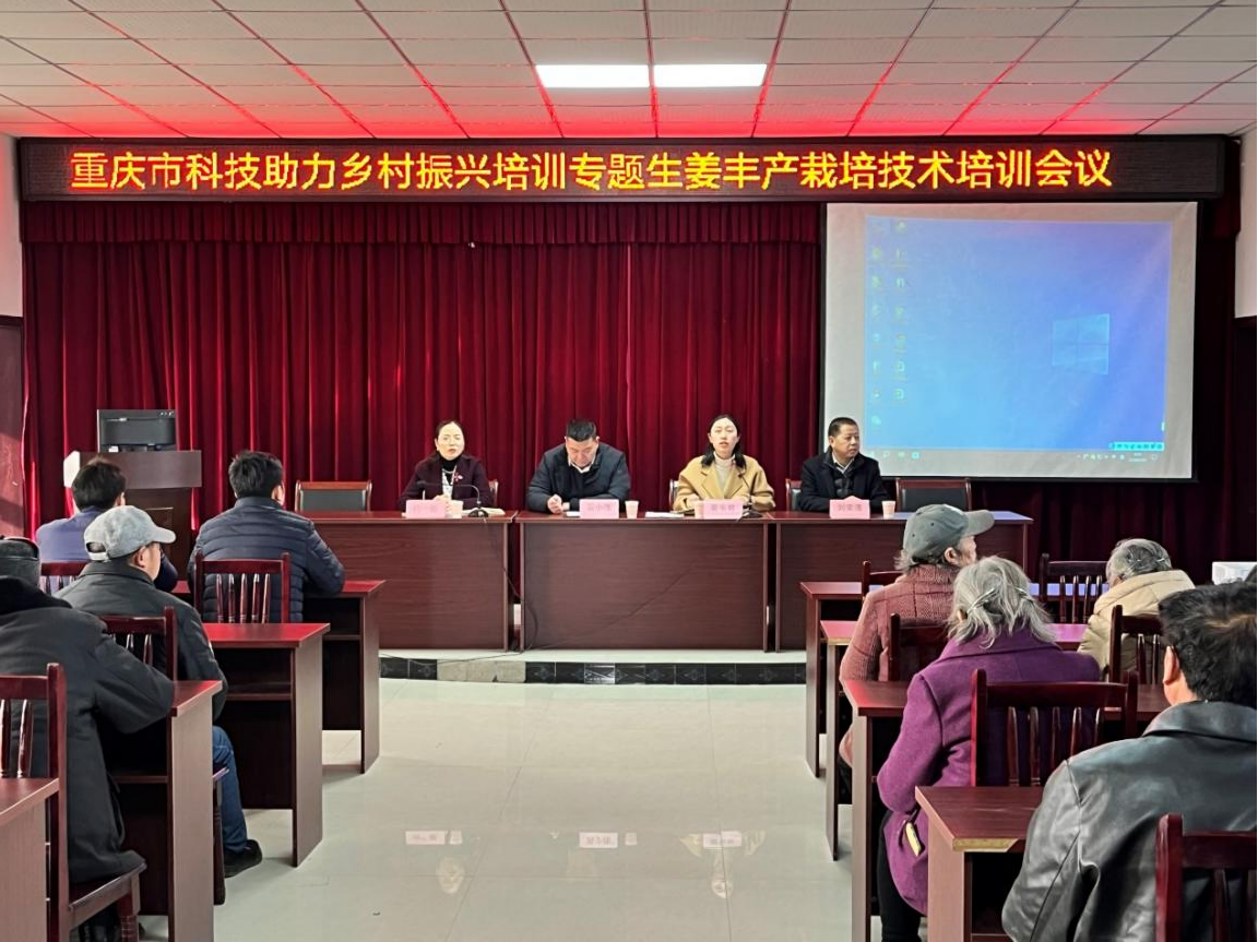 paZH_1709258087099073104.png 图片1.png