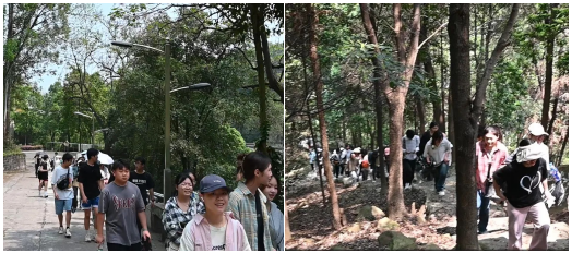LFUR_1713338342939033948.png QQ截图20240417151847.png