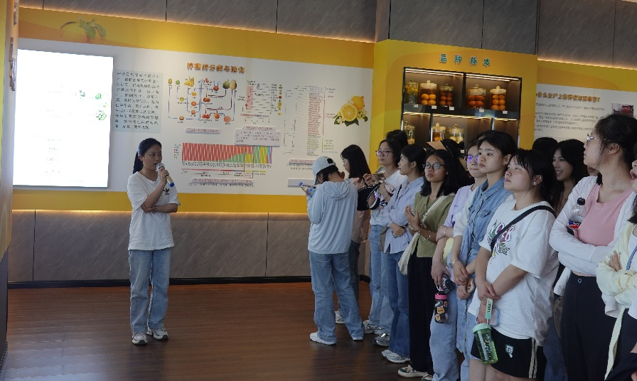 TSpb_1716770105945058343.png 图片1.png