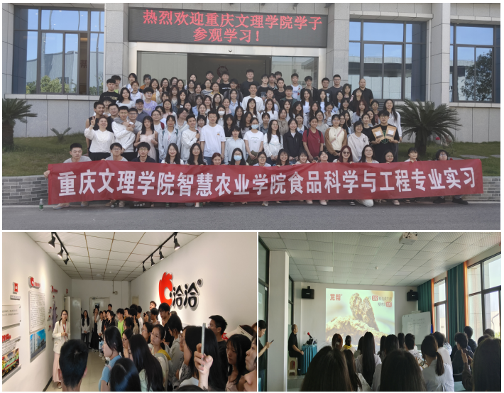 diyg_1717639704492041854.png QQ1截图20240606100410.png