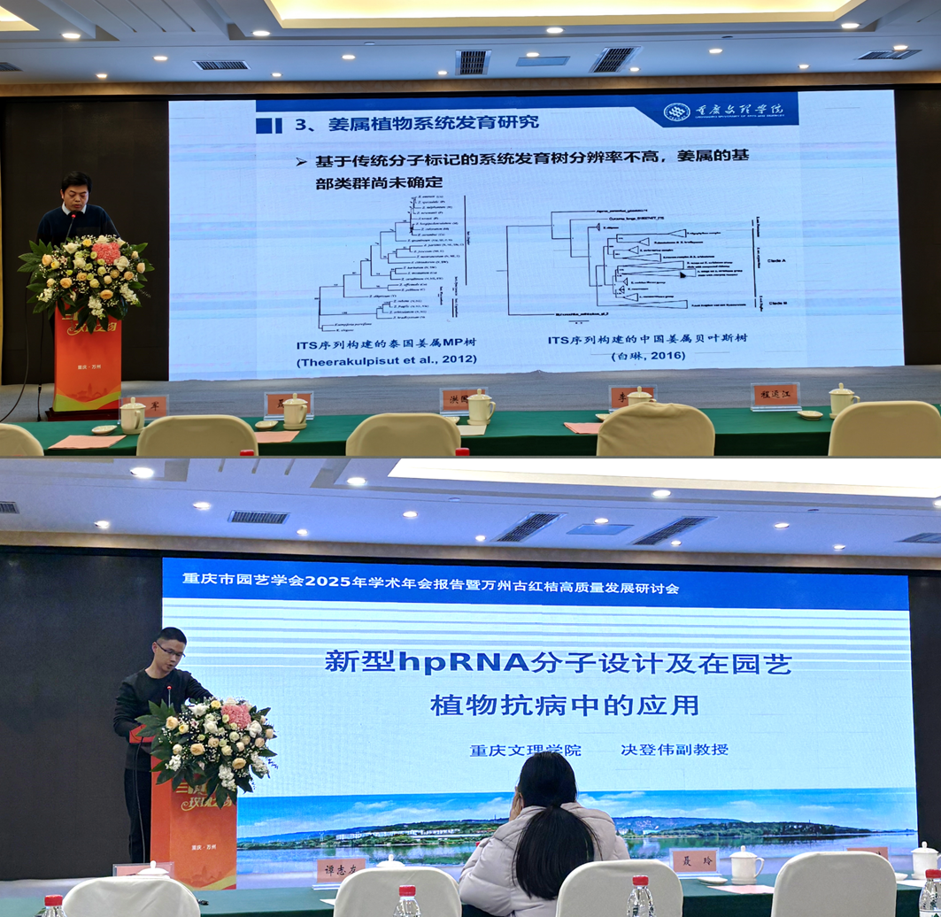 XdqI_1739753411775080276.png 图片2.png