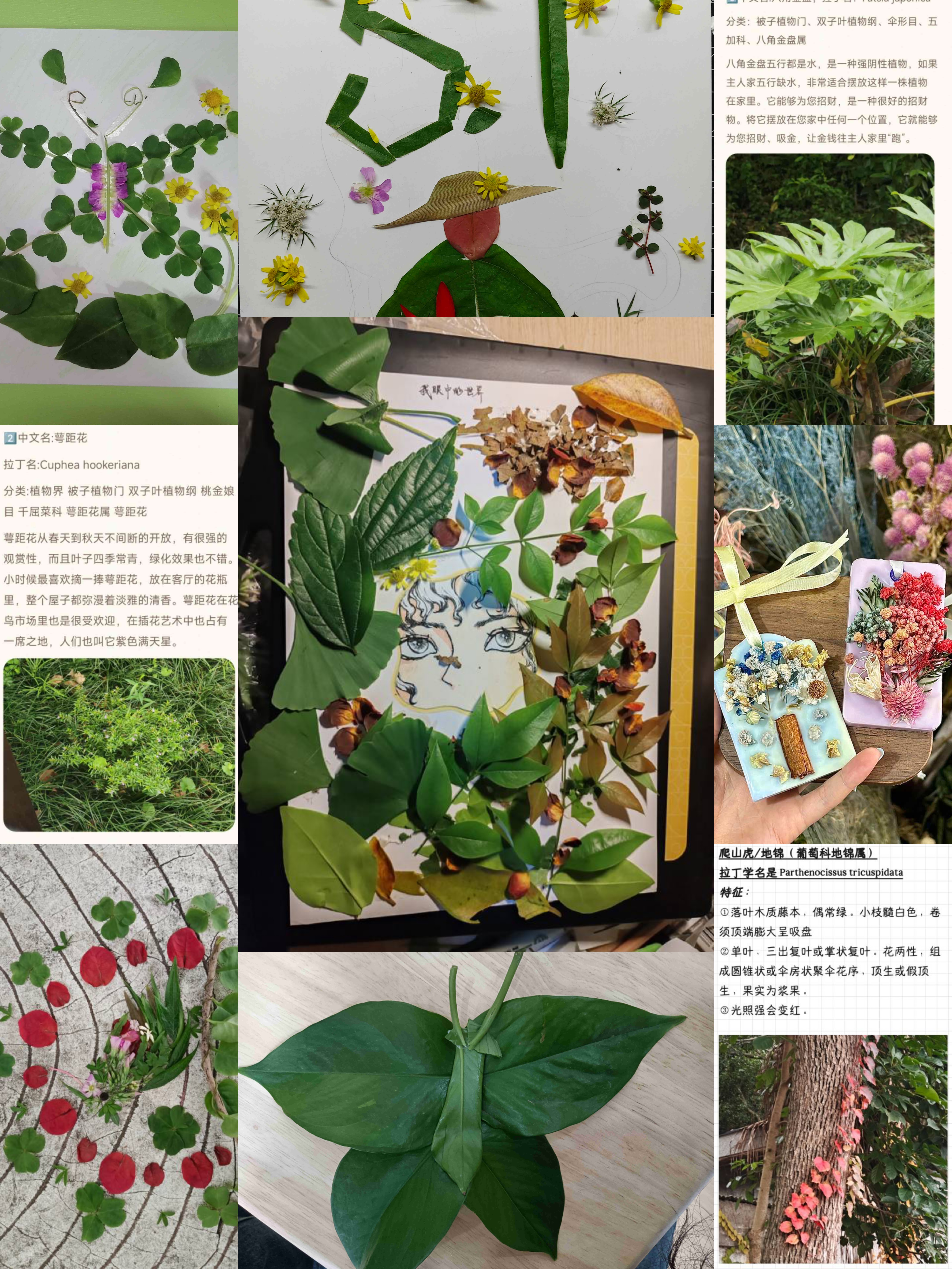 DeZA_1748309537781047672.png