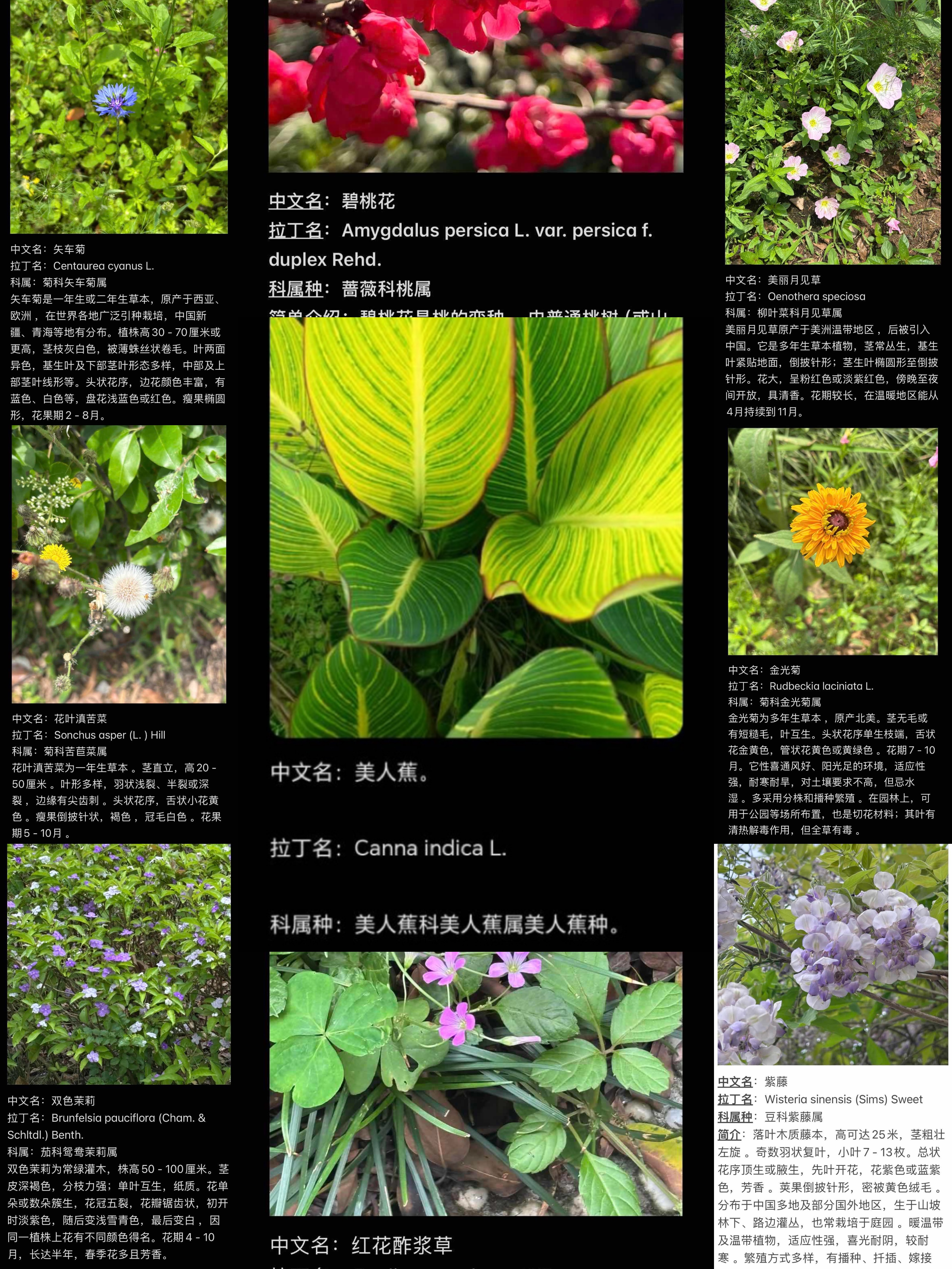 sSWd_1748309533973018845.png