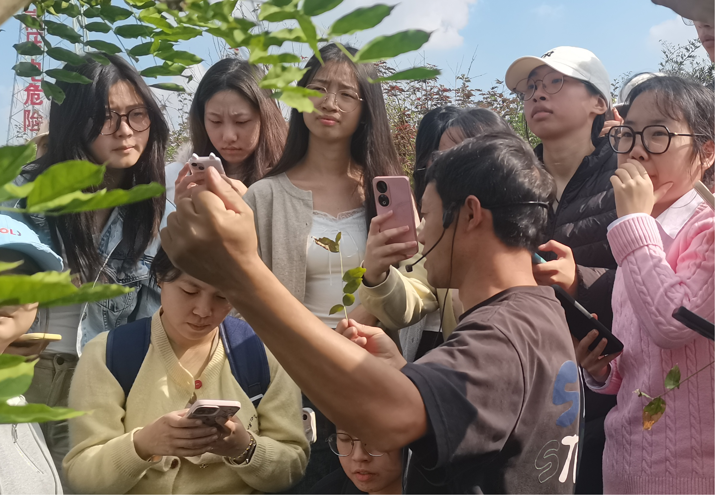 iAGR_1761787130378056438.png 图片3.png