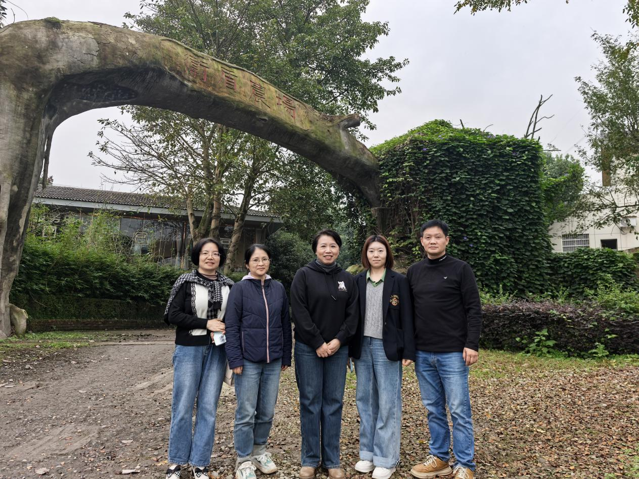 sfPM_1763455148590004379.png 图片1.png