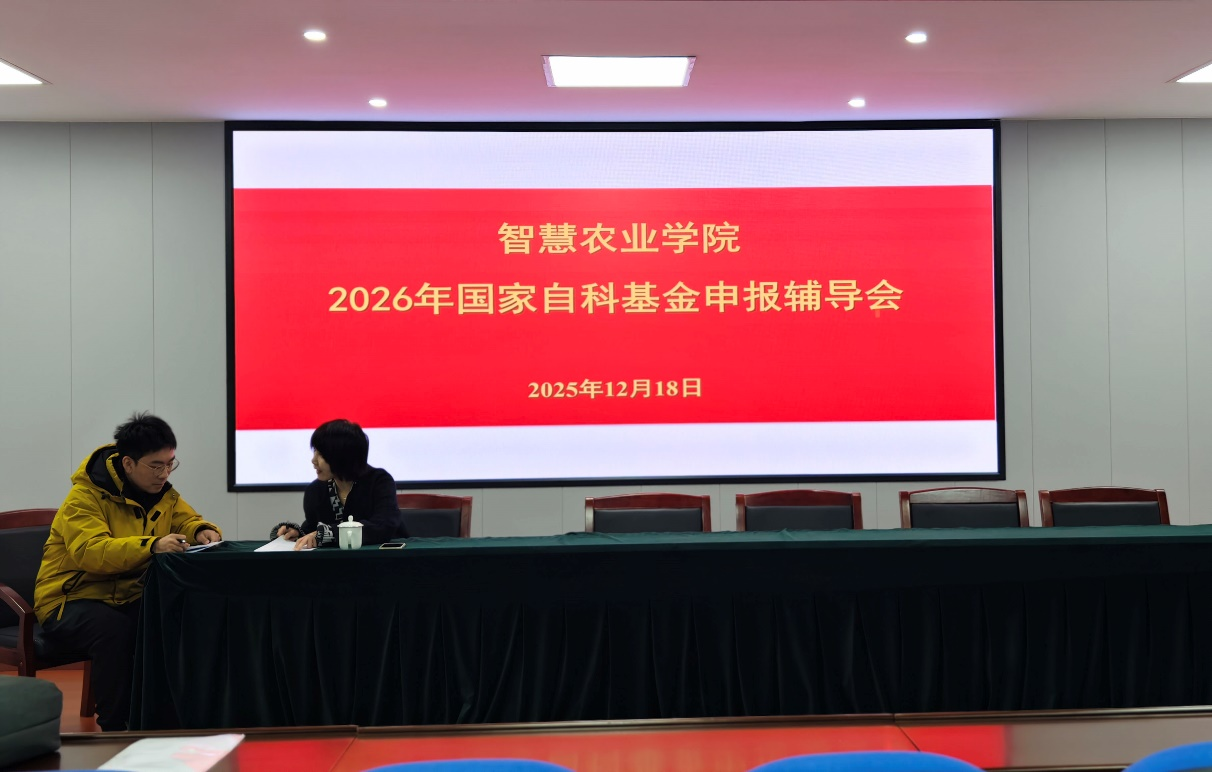 Zbnj_1766712194429070115.png 图片3.png