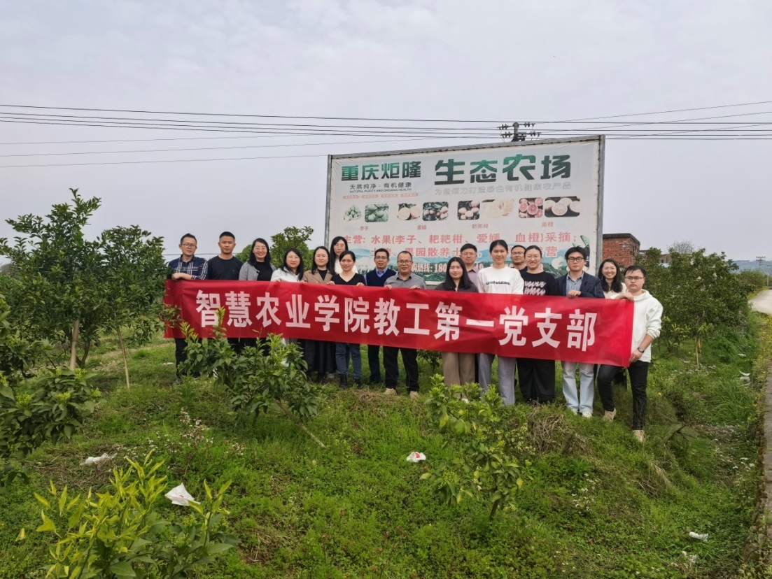 suEo_1773711530880085814.png 图片1.png